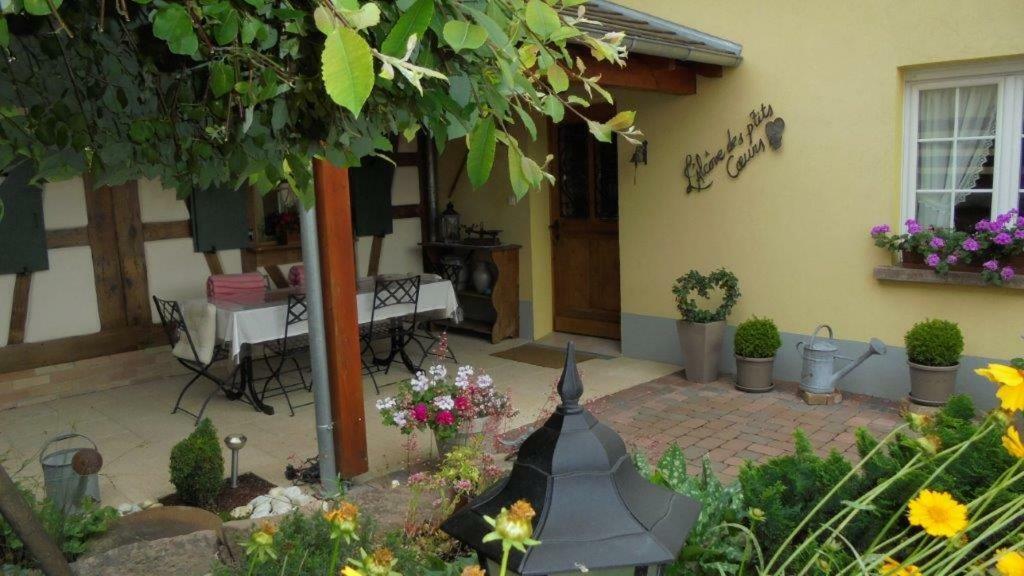 L'Alcove Des P'Tits Coeurs Βίλα Benfeld Εξωτερικό φωτογραφία